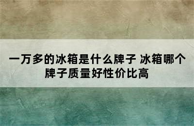 一万多的冰箱是什么牌子 冰箱哪个牌子质量好性价比高